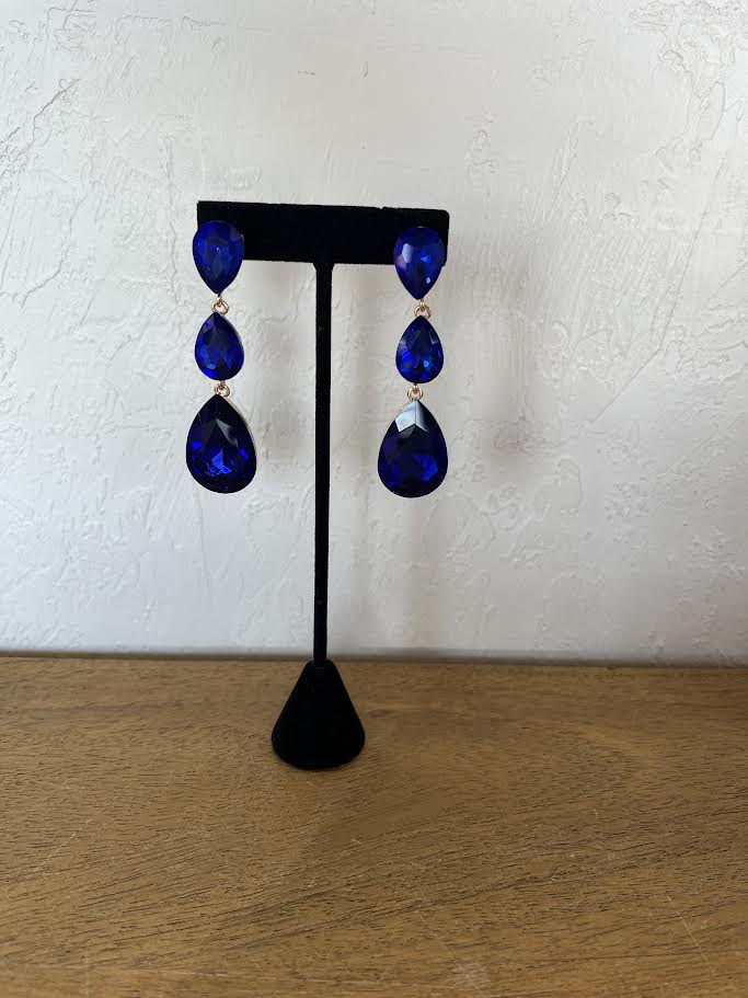 Earrings ER1419