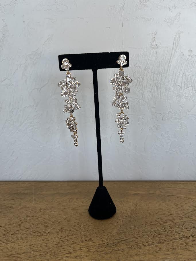 Earrings EVE1475