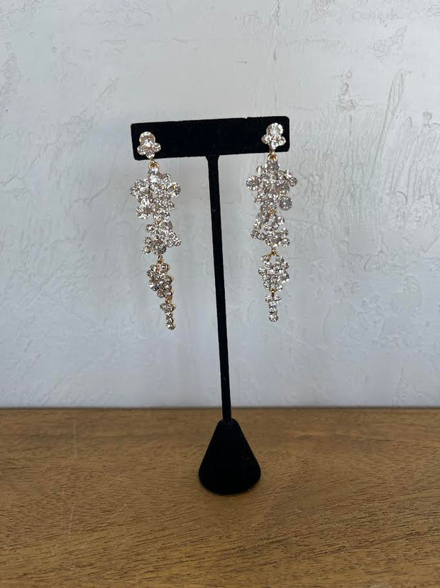 Earrings EVE1475