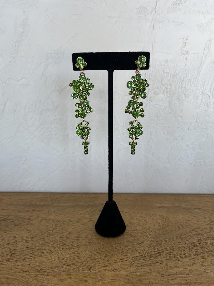 Earrings EVE1475