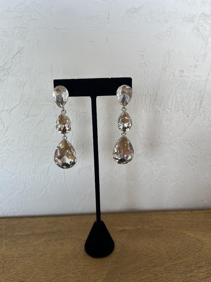Earrings ER1419