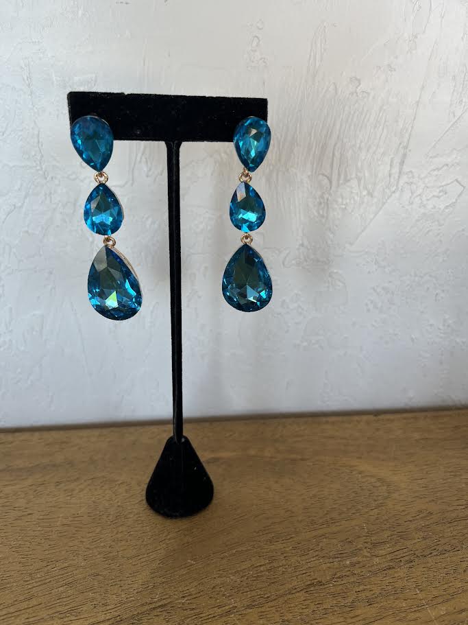 Earrings ER1419