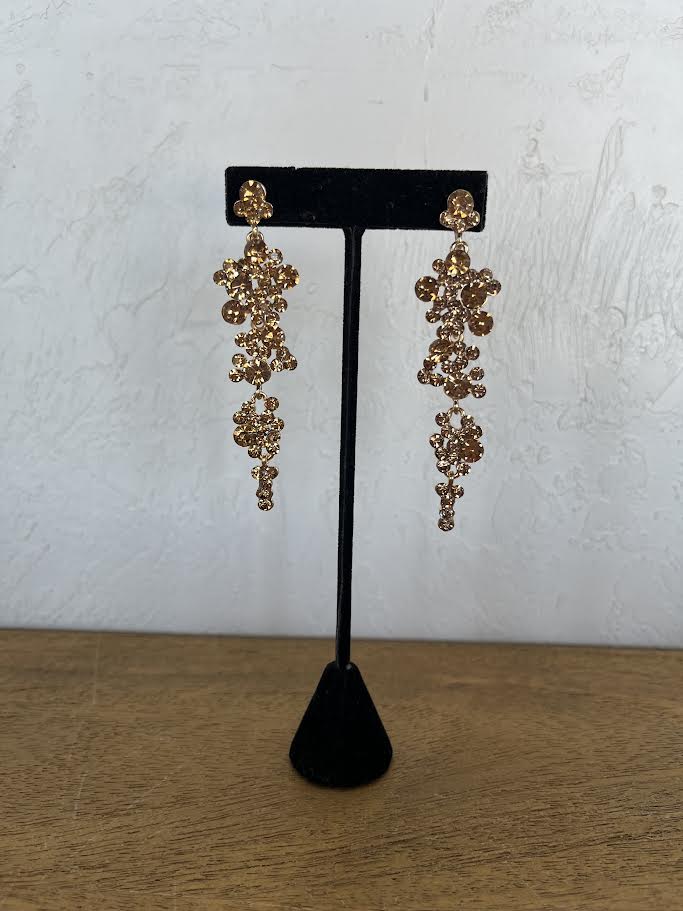 Earrings EVE1475