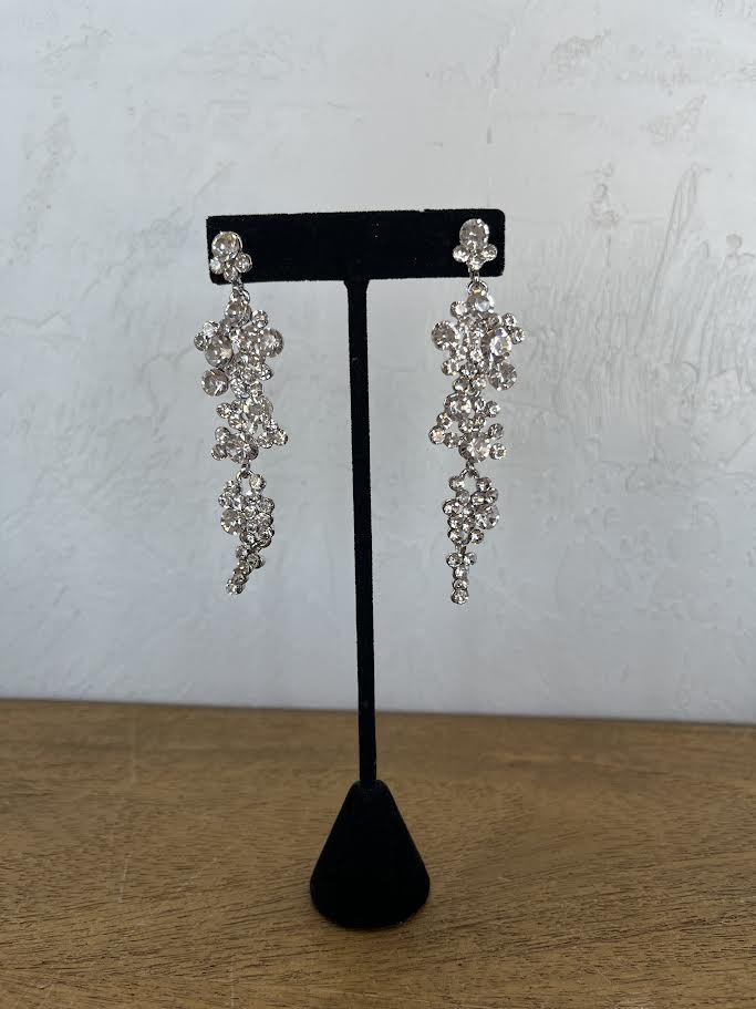 Earrings EVE1475