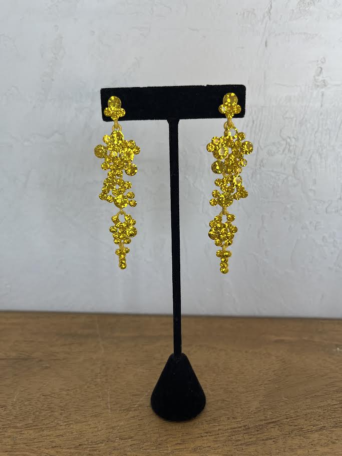 Earrings EVE1475