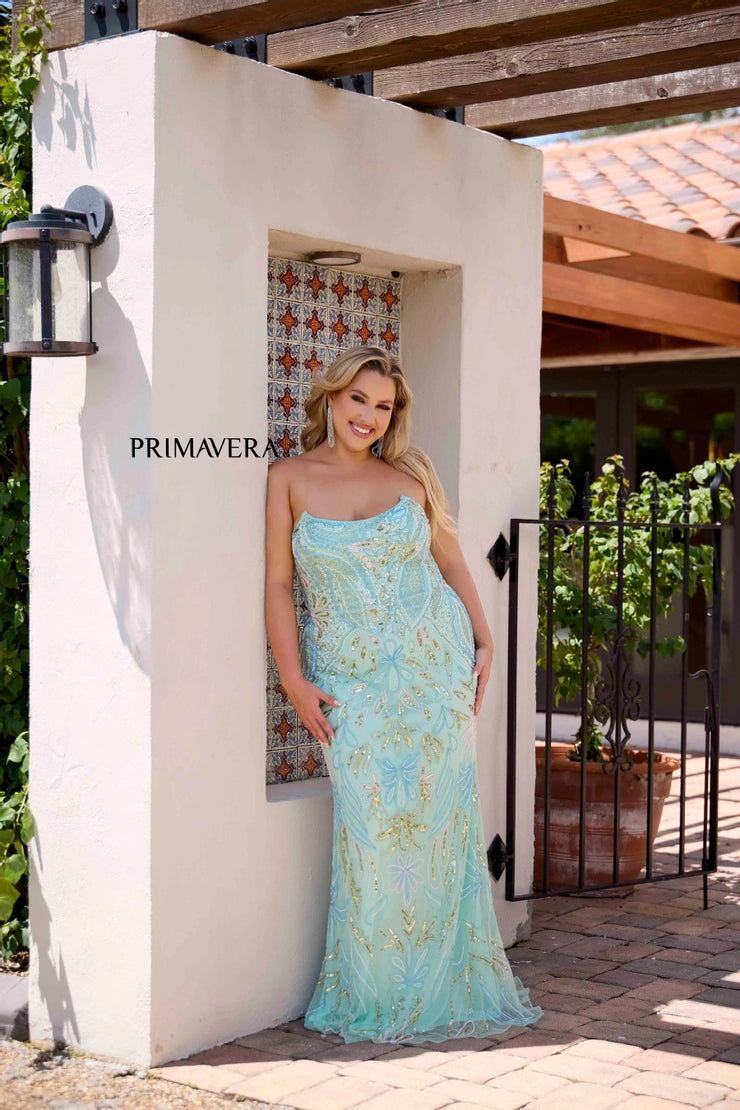 Primavera 14081