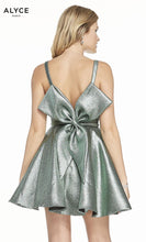 Load image into Gallery viewer, Alyce 3917