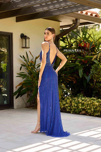 Primavera 4322