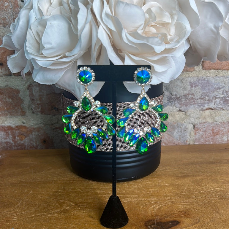 Large Multicolor Earrings ￼