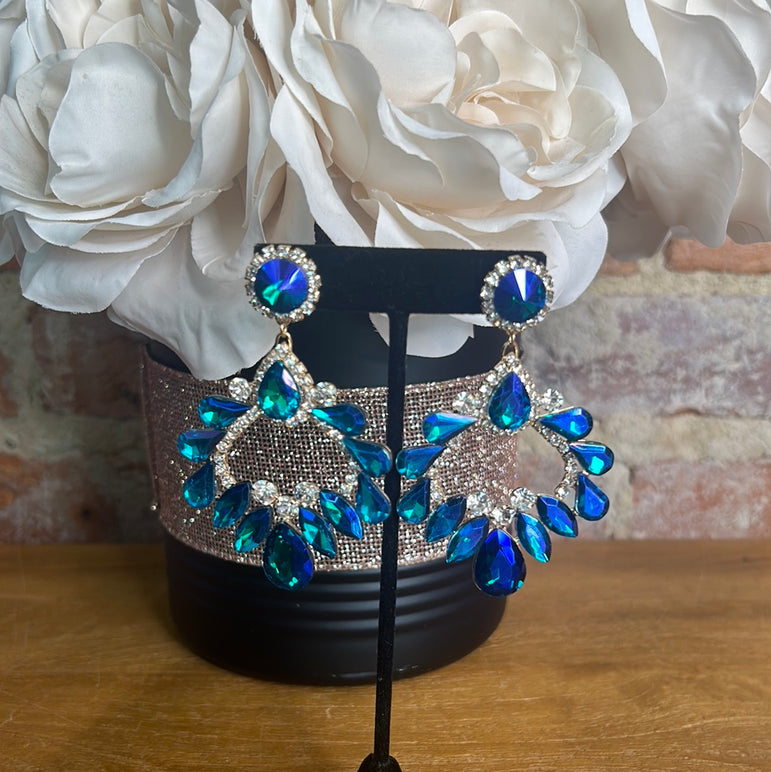 Large Multicolor Earrings ￼