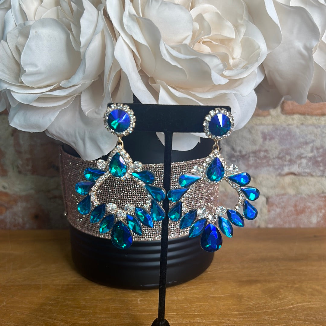 Large Multicolor Earrings ￼