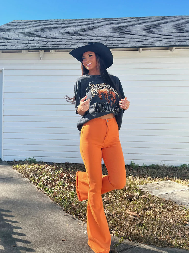 Fiona High Waisted Flare by Willow