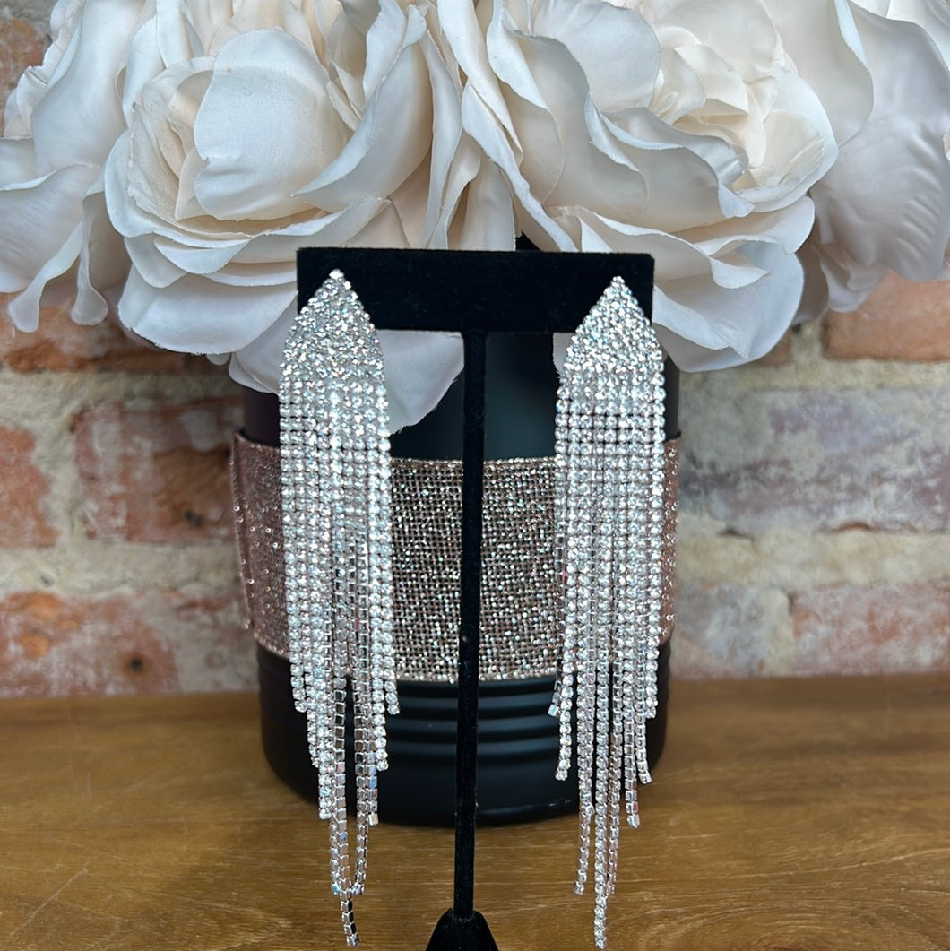 Silver Fringe Earrings