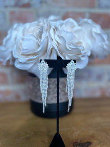 Silver Fringe Earrings