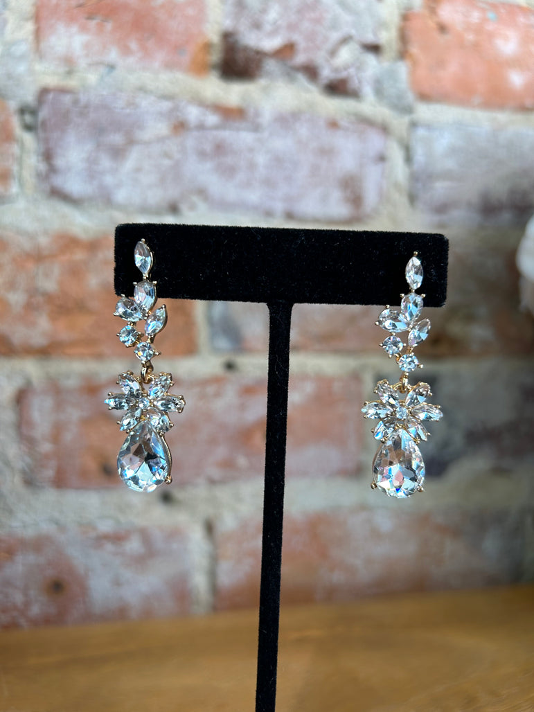 Dazzling Drop Earrings