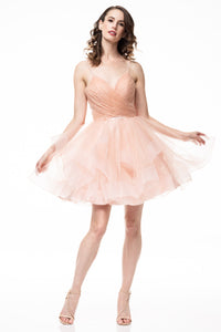 Bicici & Coty SR82011S