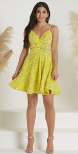 Christina Wu 27350