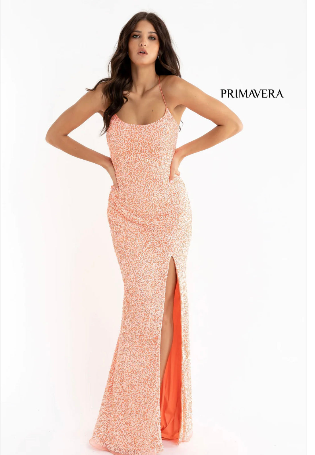 Primavera 3290