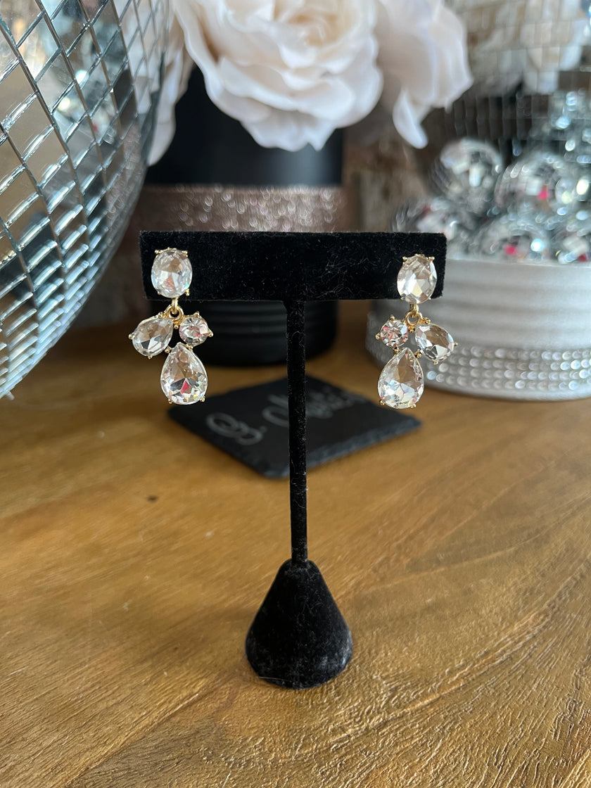 Silver w/ Gold Back Earrings