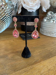 Pink Gem With Gold Back Earrings